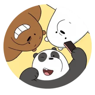 🐻 We Bare Bears Мультфильм, Медведи, Панда, Гризли, Белый медведь, Селфи whatsapp sticker