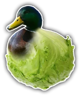 🌿 pato, lechuga, comida, animal, pájaro, verdura, híbrido, naturaleza whatsapp sticker