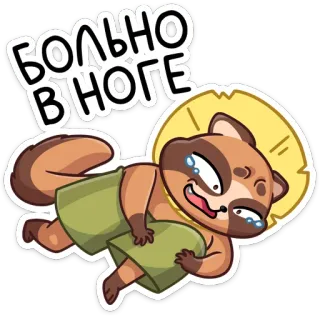 🥺 БОЛЬНО В НОГЕ mapache, dibujos animados, dolor, lesión, lágrimas, llorando, herido, pierna whatsapp sticker