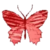 🦋