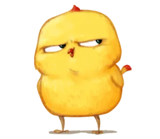 🐤 frango, pássaro, fofo, animal, desenho animado, ilustração whatsapp sticker