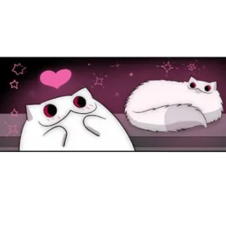 ❤️ kot, słodki, śmieszny, biały, zwierzę telegram sticker