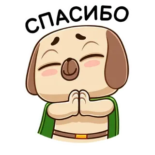 🙏 СПАСИБО thank you, dog, cute, russian, благодарность, спасибо telegram sticker