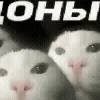 😏