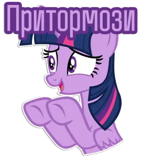 🚫 Twilight Sparkle My Little Pony Притормози My Little Pony, Twilight Sparkle, Pony, Cartoon, Sticker telegram sticker
