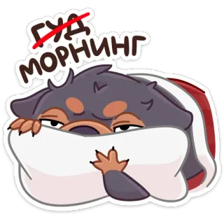 ☀️ ГУД
МОРНИНГ Hund, Schlaf, Guten Morgen, Russisch, süß, faul, Tier whatsapp sticker