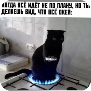 Больше стиков тут: @stikery4 telegram stickers