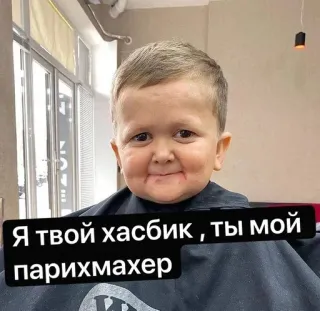 🥰 Hasbulla Magomedov Я твой хасбик, ты мой парикмахер hasbik, парикмахер, meme, хасбик, hairdresser telegram sticker