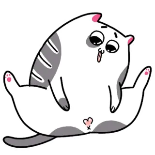 🛁 แมว, ตลก, สัตว์, สติกเกอร์, น่ารัก, คาวาอิ telegram sticker