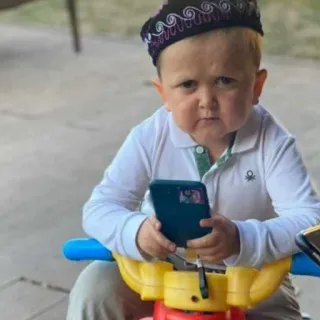 🤨 Hasbulla Magomedov Hasbulla, Maga, Dagestan, influencer, fighter telegram sticker