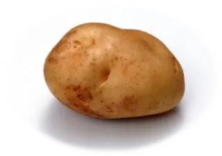 🍗 patata, comida, verdura, raíz vegetal, tubérculo telegram sticker