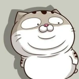 😳 Katze, Tier, süß, Aufkleber, Cartoon, lustig telegram sticker