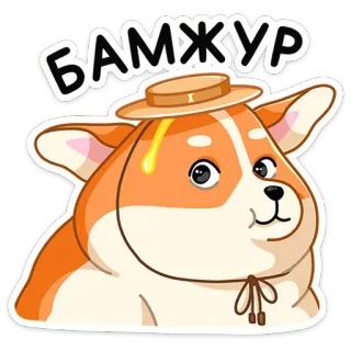 👋 БАМЖУР หมา, คอร์กี้, การ์ตูน, สติกเกอร์, น่ารัก telegram sticker