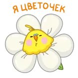 🌸 So Lovely Today! flower, cute, bird, yellow, white, lovely telegram sticker