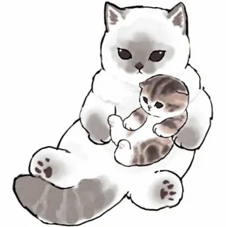 🥞 cat, kitten, cute, animals, pet, Scottish Fold telegram sticker