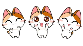 😃 gato, lindo, animal, kawaii, gatito, pegatina, mascota telegram sticker