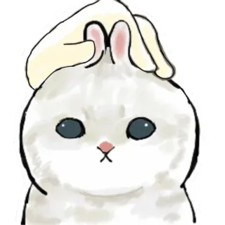 🐰 gato, animal, orejas de conejo, lindo, mascota whatsapp sticker