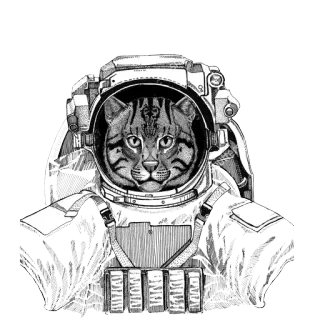 🌌 gatto, astronauta, spazio, animale, illustrazione, animale domestico telegram sticker