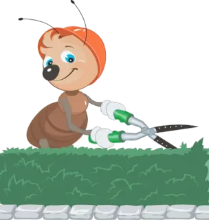 🌿 formica, giardinaggio, potatura, cartone animato, insetto, siepe, cura del prato whatsapp sticker