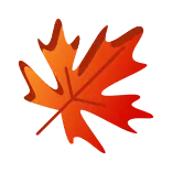 🍁