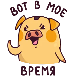 👴 BOT B MOE BPEMA porco, fofo, desenho animado, animal whatsapp sticker