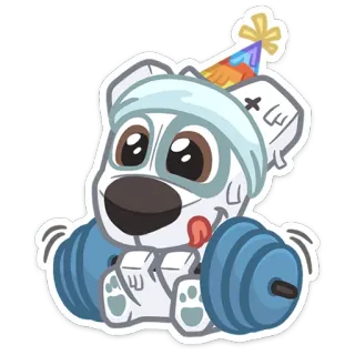 🏋‍♂ chien, dessin animé, haltère, haltérophilie, anniversaire, chapeau de fête, bandage, mignon whatsapp sticker