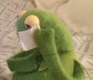 🌟 Kermit Kermit der Frosch, traurig, weinen, Meme whatsapp sticker