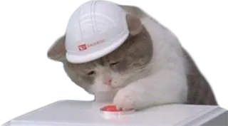 ⛑ cat, helmet, worker, safety, construction telegram sticker