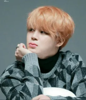 🐾 Jimin K-pop, Ídolo, Coreano, Cantante, Música, Celebridad whatsapp sticker