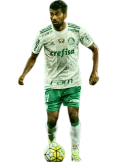 👤 calcio, atleta, sport, Palmeiras, Palmeiras telegram sticker