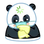 🤔 แพนด้า, การ์ตูน, สัตว์, น่ารัก, หน้ากาก, การแพทย์, คาวาอิ telegram sticker
