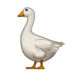 🪿