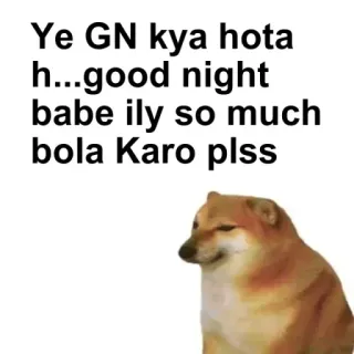 🌟 Cheems Doge Ye GN kya hota h...good night babe ily so much bola Karo plss telegram sticker