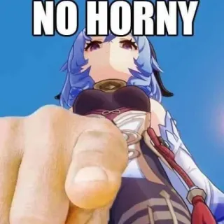 👉 Ganyu Genshin Impact NO HORNY genshin impact, no horny, anime, character, ganyu telegram sticker