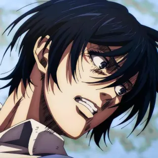 💜 Mikasa Ackerman Attack on Titan ミカサ, 進撃の巨人, アニメ, マンガ, 怒り, 軍事, キャラクター telegram sticker