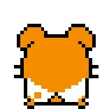 🐹