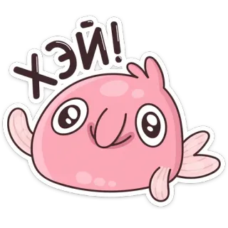 Боб :: @TgSticker whatsapp stickers
