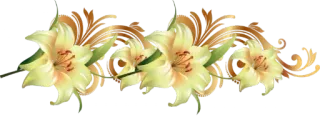 😢 flowers, lily, floral design, ornament, decorative whatsapp sticker