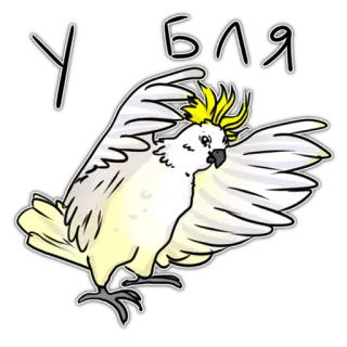 👺 У БЛЯ Vogel, Kakadu, Papagei, Russisch, Slang whatsapp sticker