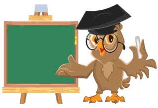 😟 coruja, formatura, professor, quadro, educação, desenho animado whatsapp sticker