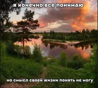 🙂 Я конечно все понимаю но смысл своей жизни понять не могу Fluss, Sonnenuntergang, Natur, Landschaft, Russisch, Text, Emotional telegram sticker