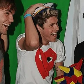🌙 Niall Horan Sänger, One Direction, Promi, Porträt telegram sticker