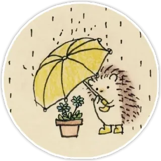 ☔ ёж, зонт, дождь, милый, животное, цветы whatsapp sticker