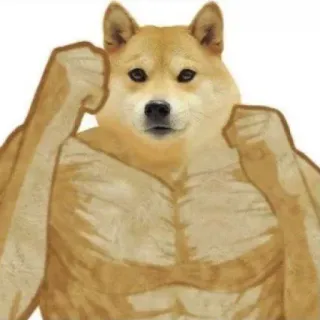 🥊 Doge doge, meme, musculoso, músculo, humor, meme de internet telegram sticker