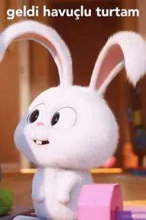 🤗 Snowball The Secret Life of Pets geldi havuçlu turtam 토끼, 흰색, 귀여운, 애니메이션, 만화, 애완 동물 whatsapp sticker