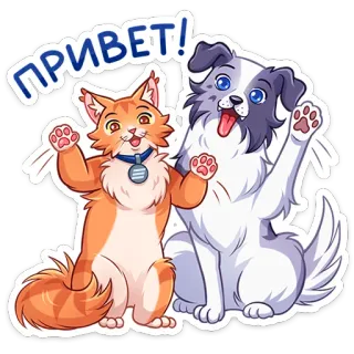 👋 ПРИВЕТ! mèo, chó, lời chào, động vật, dễ thương telegram sticker