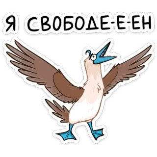 ☺️ Я СВОБОДЕ-Е-ЕН птица, свобода, голубоногая олуша, дикая природа, животное, наклейка telegram sticker