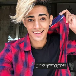 😄 Lucky the Styles persona, retrato, estilo, moda, hombre, celebridad whatsapp sticker