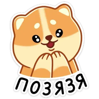 🥹 ПОЗЯЗЯ 강아지, 귀여운, 동물, 만화, 스티커 telegram sticker