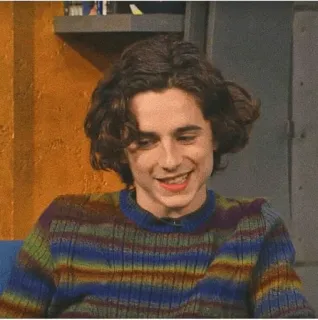 🖤 Timothée Chalamet actor, celebrity, Timothée Chalamet, portrait, person telegram sticker